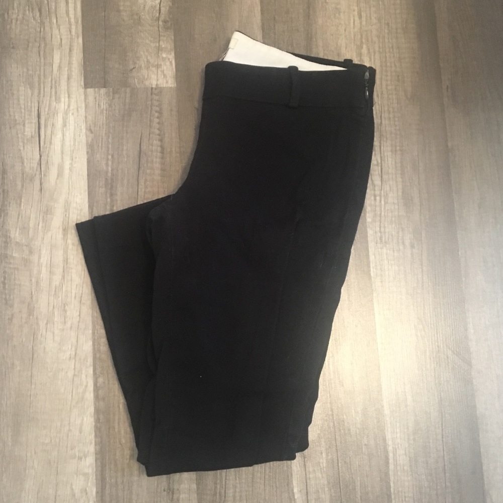 J crew Winnie pant